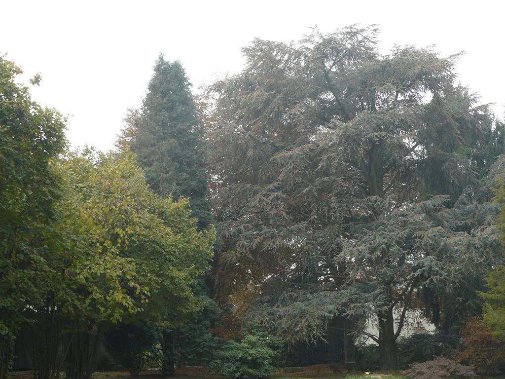 San Benigno Canavese Al Concerto Bed & Breakfast エクステリア 写真