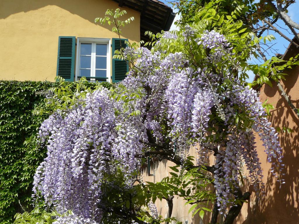San Benigno Canavese Al Concerto Bed & Breakfast エクステリア 写真